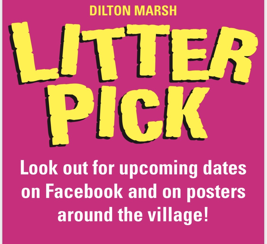 Litter Pick poster