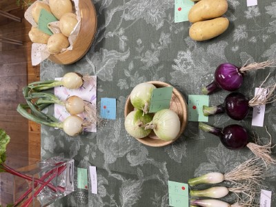 Flower Show 2023 